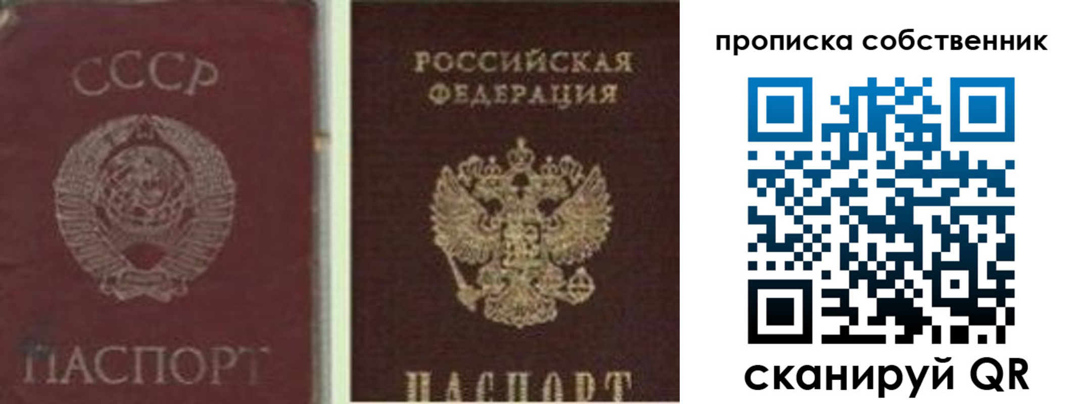 прописка 2025 в Пущино